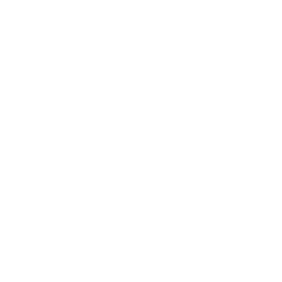 Icon for Career Switch Resume
