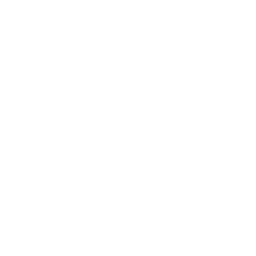 Icon for LinkedIn Profile Writing