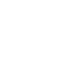 Icon for Resume Writing Services