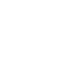 Icon for Student Resume Writing