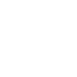 Icon for Entry Level Resume